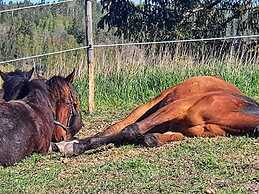 9 Person Holiday Home in Tystberga