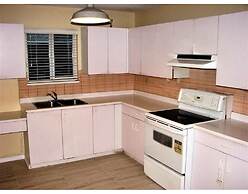 Old plum tree Style Suite