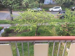 Old plum tree Style Suite