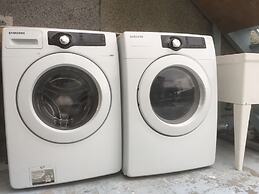 Old plum tree Style Suite