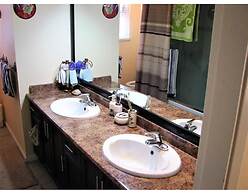 Old plum tree Style Suite