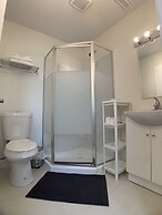 Old plum tree Style Suite