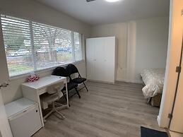 Old plum tree Style Suite