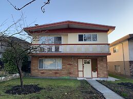 Old plum tree Style Suite