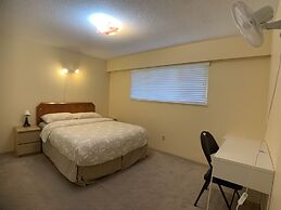 Old plum tree Style Suite