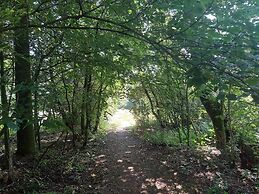 Cozy Holiday Home in Erslev near Ocean