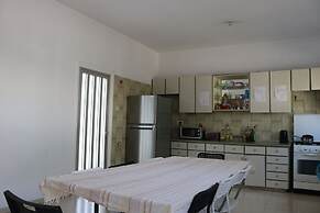 Costas Hostel Action 2