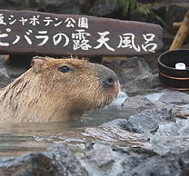 Breathtaking View House