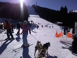 Ski Chalets at Pamporovo - an Affordable Village Holiday for Families