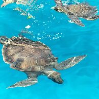 Luxury Villa - Private Pool and Wifi Perfect Location for a Holiday!