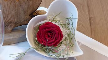 Spacious, Inviting Apartment Near Fussen in the Allgau Region in Bavar