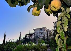 Amazing Luxury Villa, Enormous Heated Pool Jacuzzi, Gym, Games Room In