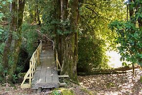 Cabin Chalet Type in Pucon