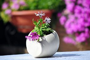 Room in Apartment - Spacious One Bedroom Apartment in Polis