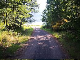 Loft Canelo - con hot tub Exclusivo, Cercano a Termas y Lago