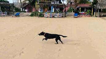 Small Luxury Hotel, Hideaway Near Acapulco on the Beach