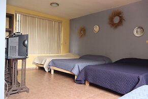 House of Ficus Banderilla,veracruz-mexico