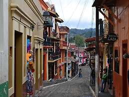 House of Ficus Banderilla,veracruz-mexico