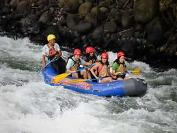 House of Ficus Banderilla,veracruz-mexico