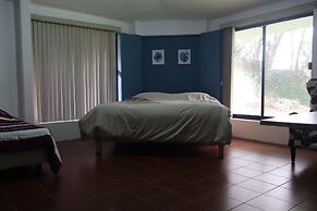 House of Ficus Banderilla,veracruz-mexico