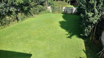 House of Ficus Banderilla,veracruz-mexico