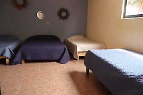 House of Ficus Banderilla,veracruz-mexico