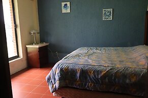 House of Ficus Banderilla,veracruz-mexico