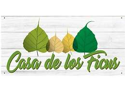 House of Ficus Banderilla,veracruz-mexico