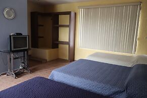 House of Ficus Banderilla,veracruz-mexico