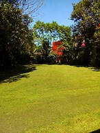 House of Ficus Banderilla,veracruz-mexico