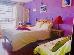 Amazing House of View