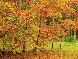 4 Person Holiday Home in Ans By-by Traum