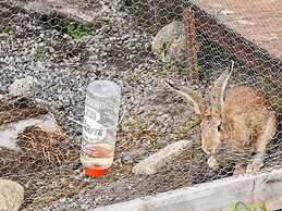 8 Person Holiday Home in Sandstad