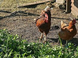 8 Person Holiday Home in Uggdal