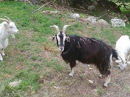 8 Person Holiday Home in Uggdal