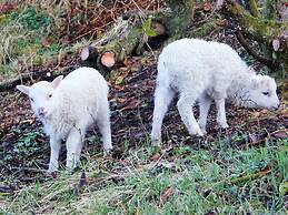 8 Person Holiday Home in Uggdal