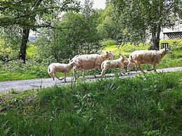 12 Person Holiday Home in Etne