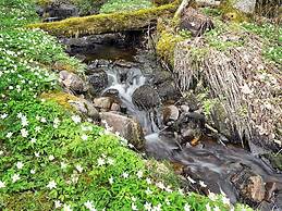 7 Person Holiday Home in Allingsas, Sverige