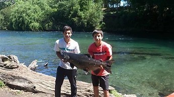 Cabana 4 Personas En Hermoso Paisaje En Pucon