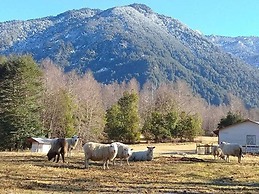 Cabana 4 Personas En Hermoso Paisaje En Pucon