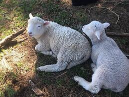 Cabana 4 Personas En Hermoso Paisaje En Pucon