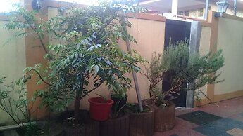 Paradise Resting Home