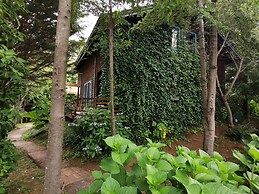 Cabaña Pudomo en Coñaripe con Hot-tub Exclusivo