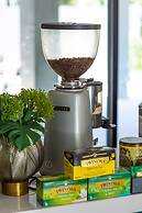 Palmetto Condominium