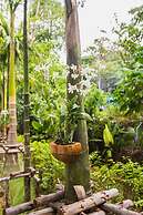 Palmetto Condominium