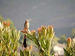 Mountain View Swellendam