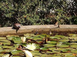 Mountain View Swellendam