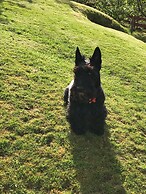 Ben Nevis Guest House