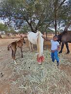 WCCC Convention Centre
