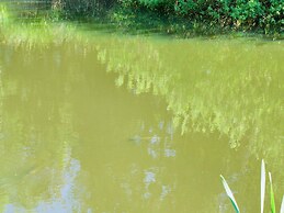 7 Person Holiday Home in Hornbaek-by Traum